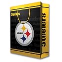 Pittsburgh Steelers Team Logo Gift Bag (Large)
