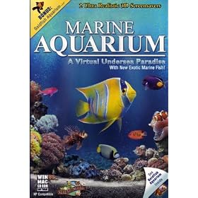 Marine Aquarium & Goldfish Aquarium