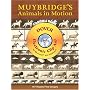 Muybridge's Animals in Motion CD-ROM and Book (Electronic Clip Art)