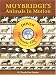 Muybridge's Animals in Motion CD-ROM and Book (Electronic Clip Art)