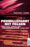 Promillefahrt mit Folgen: Was tun, wenn der F�hrerschein weg ist? - Carmen Liebs