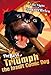 Late Night with Conan O'Brien - The Best of Triumph the Insult Comic Dog
