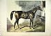 1874 Beautiful Sepia Print Horse Venison Stable Bed