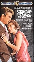 Splendor in the Grass (1961) (Spec) [VHS]