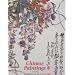 Chinese Paintings in the Ashmoleum Museum, Oxford (Vol.II)
