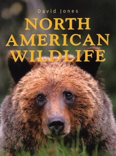North America