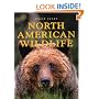 North American Wildlife