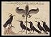 Arab painters around 1210 (Kal&Atilde;&reg;la and Dimna, jackal tales, scene: The king and his crows Councils) White Wood-Mounted Art Poster Print - 13" X 19"