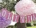 (Price/36 PCS)Aspire Pom Poms, Mixed Purple Tissue Paper Flowers, Party Favors
