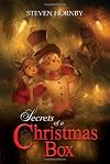 Secrets of a Christmas Box