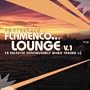 South Beach Flamenco Lounge