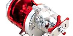 ダイワ(Daiwa) トーナメント イシダイZ 30 596459
