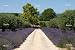 'House In The Provence, Southern France' Wall Decal - 72