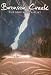 Bronson Creek The Snip Mine Airlift