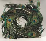 Peacock Tall Feather 18: Art Home Decor Wreath NEW!