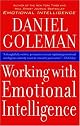 Working with Emotional Intelligence