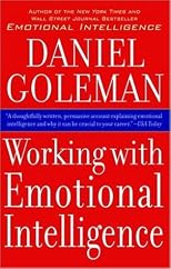 Working with Emotional Intelligence