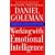 Working with Emotional Intelligence
