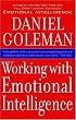 Working with Emotional Intelligence