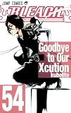 BLEACH Vol. 54 (In Japanese)