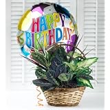 Birthday Dish Garden by 1-800-Flowers