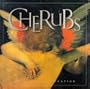Cherubs: A Joyous Celebration (Gift Book)