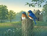 Tuftop Tempered Glass Kitchen Board Country Morning Bluebirds Medium by Tuf Top Cutting Boards