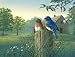 Tuftop Tempered Glass Kitchen Board Country Morning Bluebirds/ Medium