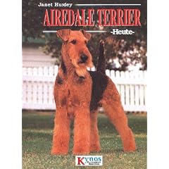 Airedale Terrier heute
