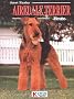 Airedale Terrier heute