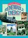 Book Renewable Energy (Alpha Books)