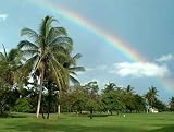51F2GatyvYL. SL160  golfcourses