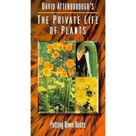 Private Life of Plants 2: Putting Down Roots [VHS]