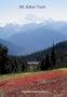 Mt. Rainier Trails