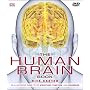 The Human Brain Book