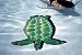 Small 7 Inch Round Pool Art - Sea Turtle (Set of Four Emblem thumb