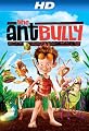 play video on Amazon Instant Video