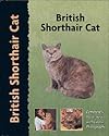 British Shorthair Cat (Pet Love)