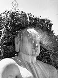 Anointing Idol Gomateswara The Worlds Largest Monolithic Statue At The Jainist Festival Ceremony Photographic Poster Print By James Burke 30x40 Anointing Idol Gomateswara The Worlds Largest Monolithic Statue At The Jainist Festival Ceremony Photographic Poster Print By James Burke 30x40