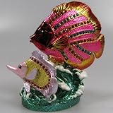 Crystal Jeweled Trinket Box - Butterfly Fishes J521