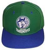 Minnesota Timberwolves Retro Snapback Cap Hat 2 Tone Green Blue