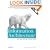 Information Architecture for the World Wide Web: Designing Large-Scale Web Sites