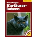 Kart�userkatzen