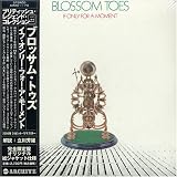 If Only for a Moment (Mini Lp Sleeve)