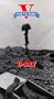 V for Victory: D-Day & The Battle for France [VHS]