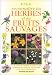 Reconnaître les herbes et les fruits sauvages