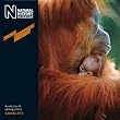NATURAL HISTORY M (WILDLIFE PY) 2013 CALENDAR
