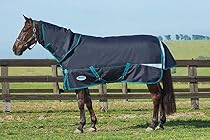 WB Freestyle 1200 Detach-A-Neck Medium 75 Teal
