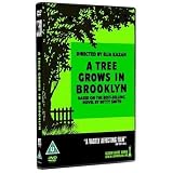 A Tree Grows In Brooklyn