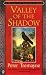Books : Valley of the Shadow (Sister Fidelma Mysteries)